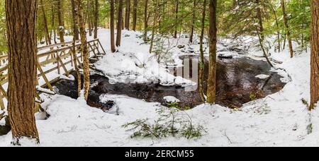 Muskoka Falls and Bracebrige Conservation Area Algonquin Highlands Bracebridge Ontario Canada in winter Stock Photo