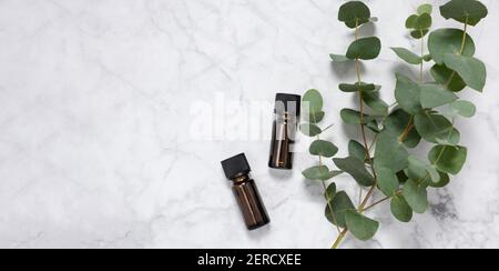 Banner with eucalyptus essential oil bottles and fresh eucalyptus branch on marble background. Natural cosmetic ingredients for skin care products. Sp Stock Photo