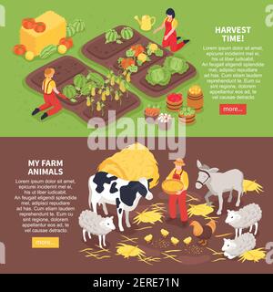 Isometric horizontal banners set with farm animals and farmers reaping harvest 3d isolated vector illustration Stock Vector