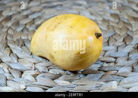 The 'Ataúlfo' mango, also called young, baby, yellow, honey, Adaulfo, Adolfo, or Champagne,[1] is a mango cultivar from Mexico. Stock Photo