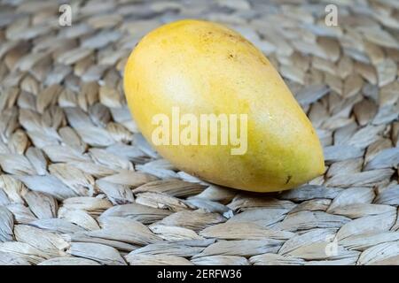 The 'Ataúlfo' mango, also called young, baby, yellow, honey, Adaulfo, Adolfo, or Champagne,[1] is a mango cultivar from Mexico. Stock Photo