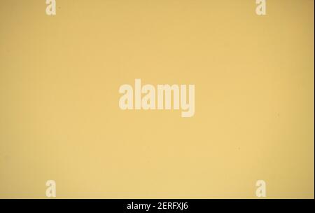 Light beige monochrome surface with a gradient at the edges. Background, pattern, texture. Stock Photo