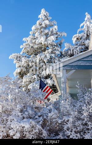 Snow-covered tree branches, American flag in front of a residential house, Aurora, Colorado Stock Photo