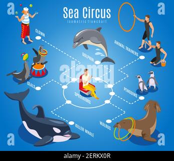 Sea circus flowchart with animal trainers spectators seals walrus penguins dolphin killer whale isometric icons vector illustration Stock Vector