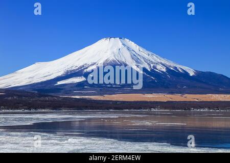 Beautiful Mount Fuji and Lake Yamanaka with Nature background and blue sky in winter., japan. Stock Photo