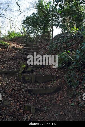 Rustic steps ascending from the River Wensum riverside walkway to Drayton Green Lanes footpath at Drayton, Norfolk, England, United Kingdom. Stock Photo
