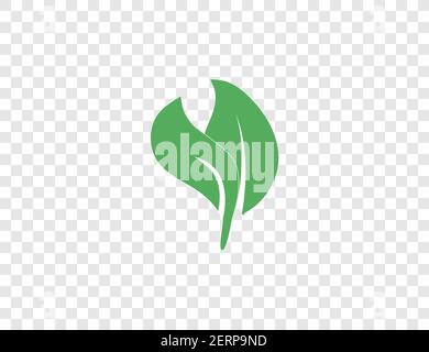 Green leaf, Eco icon on transparent background. Vector illustration. Stock Vector