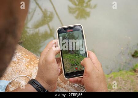 Puerto Triunfo, Colombia. 18th Feb, 2021. A tourist makes a video of Vanessa, the only hippo that has a pond tamed on the 'Hacienda Nápoles'. The hippos, which the drug lord Pablo Escobar once brought to Colombia, have multiplied so much that the country is looking for a solution for the animals. Credit: Luis Bernardo Cano/dpa/Alamy Live News Stock Photo