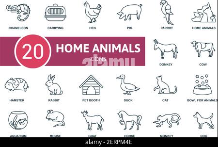 Domectic Animals icon set. Contains editable icons domectic animals theme such as cat, rabbit, horse and more. Stock Vector