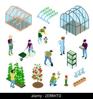 Greenhouse glasshouse hydroponic system vegetables flowers cultivation irrigation facilities isometric elements set with workers isolated vector illus Stock Vector