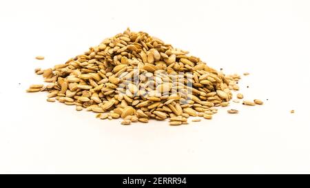 A mound of winter melon wax gourd seeds isolated on white background Stock Photo