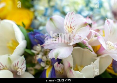 mix bouquet of delicate white lilies. Mixed flower arrangement: different flowers of different colors, yellow rose in the center Stock Photo