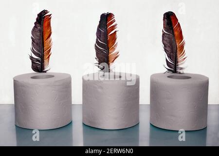 Toilet paper and a bird feather, a symbol of soft touch. Stock Photo