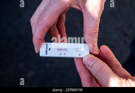 Person using a coronavirus COVID-19 self testing swab kit in his car Stock Photo