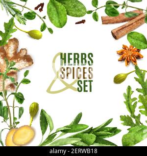 Herbs spices realistic square frame with fresh rosemary thyme rocket spinach leaves cinnamon ginger anise vector illustration Stock Vector