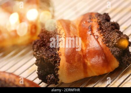 Fresh bun cake with poppy seeds on a tray and empty space for text Stock Photo