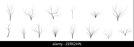 vector set of dead winter trees without leaves cartoon style Nature icon collection, infographic constructor. Game design Stock Vector