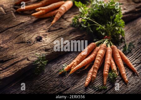 Fresh and sweet carrot on rustic wooden board Stock Photo
