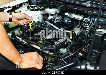 A professional mechanic is holding the oil dipstick check the oil level in car engine Stock Photo