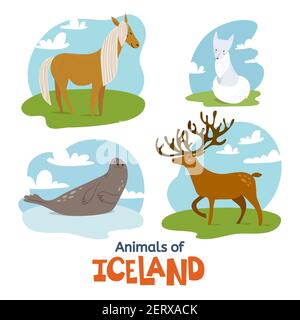 Animals of Iceland in flat modern style design Stock Vector