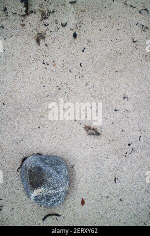 Shells and rocks in the sand on the beach Stock Photo
