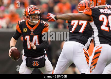 Bengals-Bucs live: Bengals win 37-34 on Randy Bullock field goal