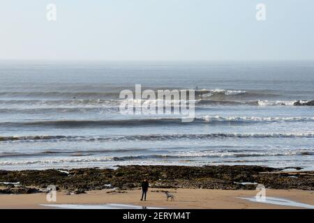 Langland bay winter surf with dog walker on beach and surfer taking off on long wave in distance Stock Photo