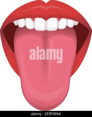 Tongue’s health sign vector illustration ( normal tongue ) Stock Vector