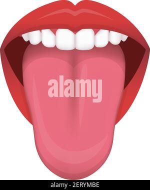 Tongue’s health sign vector illustration ( normal tongue ) Stock Vector