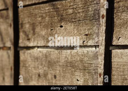 Brown wooden board with rusty nails in sunny light. Stock Photo