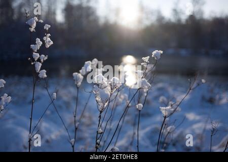 Winter wonderland in Hamburg-Bergedorf Stock Photo