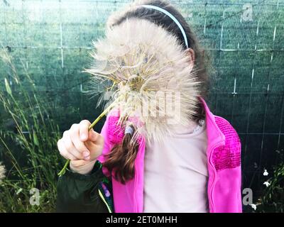 Portrait of a girl standing in a garden holding a large dandelion in front of her face, Italy Stock Photo