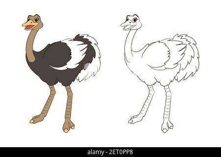 long legged cute ostrich coloring book for kids. Vector isolated line art illustration, in cartoon style Stock Vector