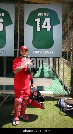 November 4, 2018 - St. Louis Cardinals Yadier Molina takes a moment to  point out teammate Kolten Wong's Hawaii Rainbow Warriors retired jersey  display during a warm up workout session at Les