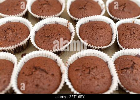 Chocolate muffins with edible eyes in paper holders Stock Photo - Alamy