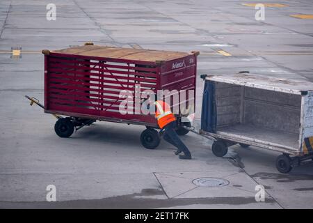BOGOTA, COLOMBIA - Jan 24, 2021: Bogota, Colombia - January 23 2021: Latin Man in Uniform Pushing the Baggage Cart Stock Photo