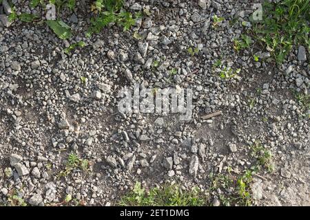 Natural texture with stones, earth and grass. Stock Photo