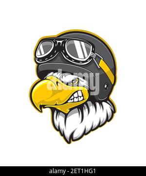 Bald Eagle Hawk Falcon Cartoon Coloring Mascot Stock Vector Image & Art ...