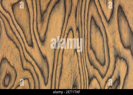 Sottsass Orange veneer texture, new background in elegant color for office design. Stock Photo