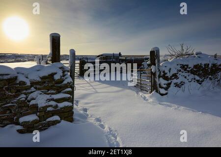 Particularly snowy view of the Yorkshire moorland hill farm sheep pen at 900ft Stock Photo