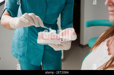 dentist doctor, denture sample and tooth cleaning brush, patient, dental clinic background Stock Photo