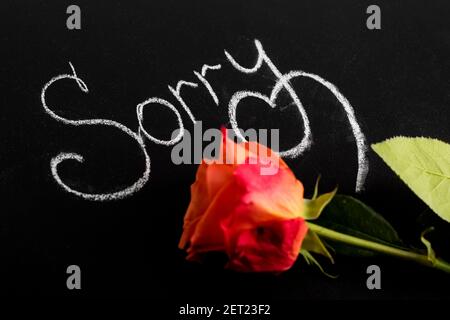 inscription in white chalk on a black board, sorry and a rose flower. concept of an apology, from the heart to ask for forgiveness Stock Photo