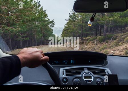 Forest road in a pine forest, seen from inside a car. Stock Photo