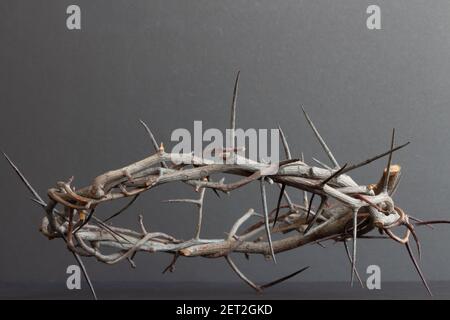 Crown of thorns from front against black background Stock Photo