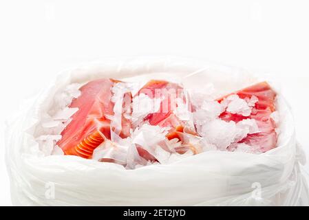 Frozen Tuna steak vacuum with ice in plastick bag, fresh food delivery concept. sea food Stock Photo