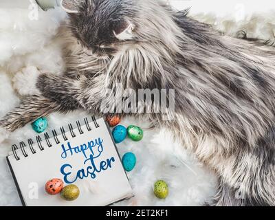 Charming kitten and Easter eggs painted in bright colors Stock Photo