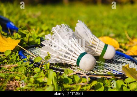 Two shuttlecocks lie on a badminton racket. The concept of outdoor sports games Stock Photo