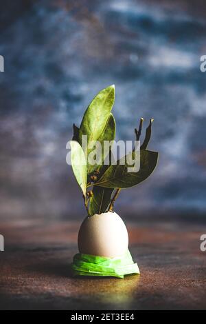 Rustic Easter decoration with bay leaves in an empty eggshell Stock Photo