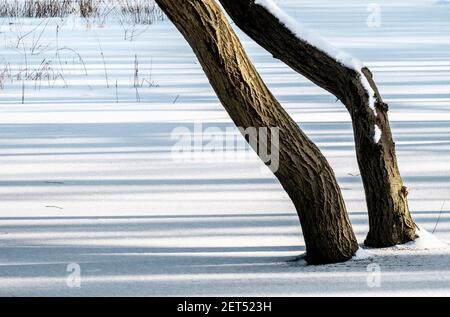 Minimalist winter landscape, United Kingdom. Stock Photo