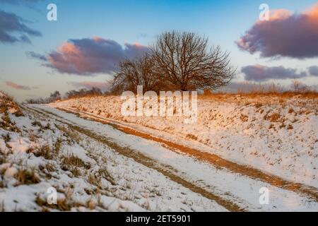 Winter dirt road running along the Polish-German border Stock Photo